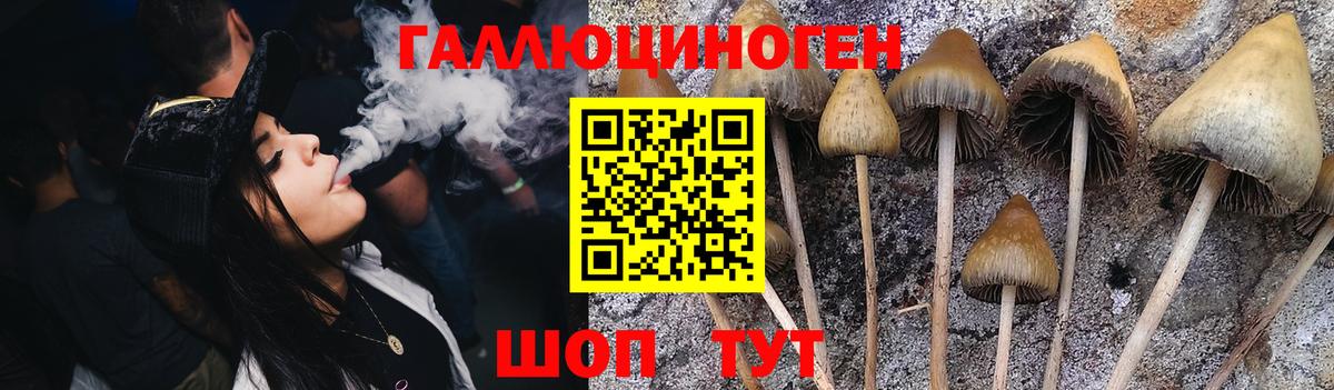 Галлюциногенные грибы прущие грибы  Псилоцибиновые грибы Magic Shrooms  Амурск  Вход с VPN 