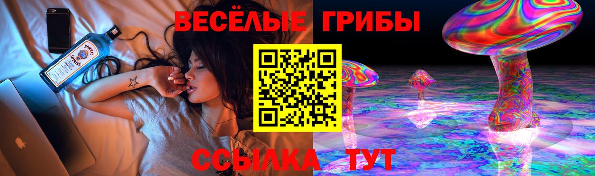 Псилоцибиновые грибы мицелий Амурск